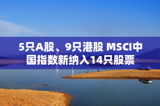 5只A股、9只港股 MSCI中国指数新纳入14只股票